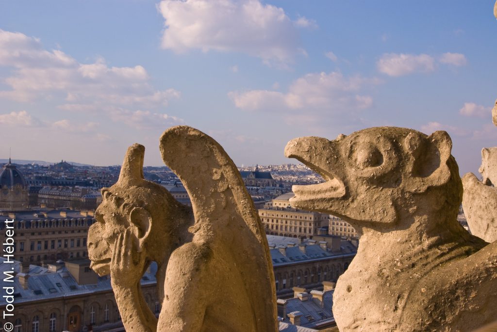 Chimeras over Paris