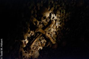 Art in la Cité de la Morte