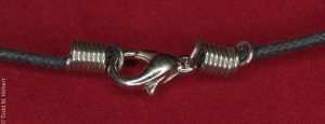 Clasp Detail
